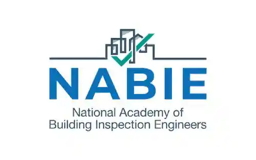 Nabie logo